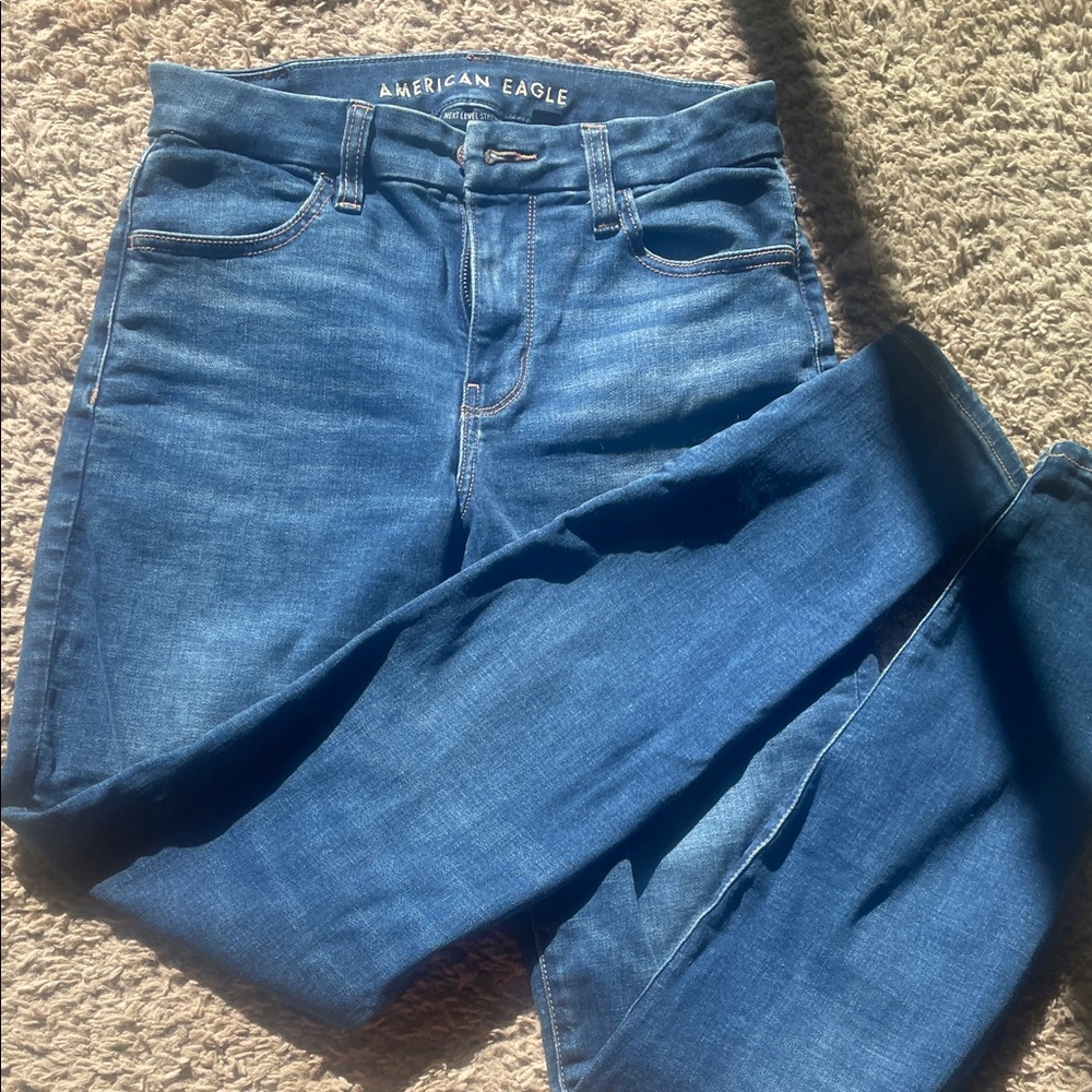 CURVY American Eagle Outfitters Curvy High Rise Jeggings